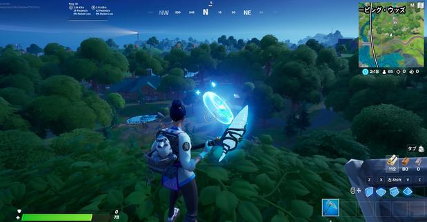 フォートナイト ウィーピング ウッズで浮いているリングを収集するコツ Fortnite 総攻略ゲーム