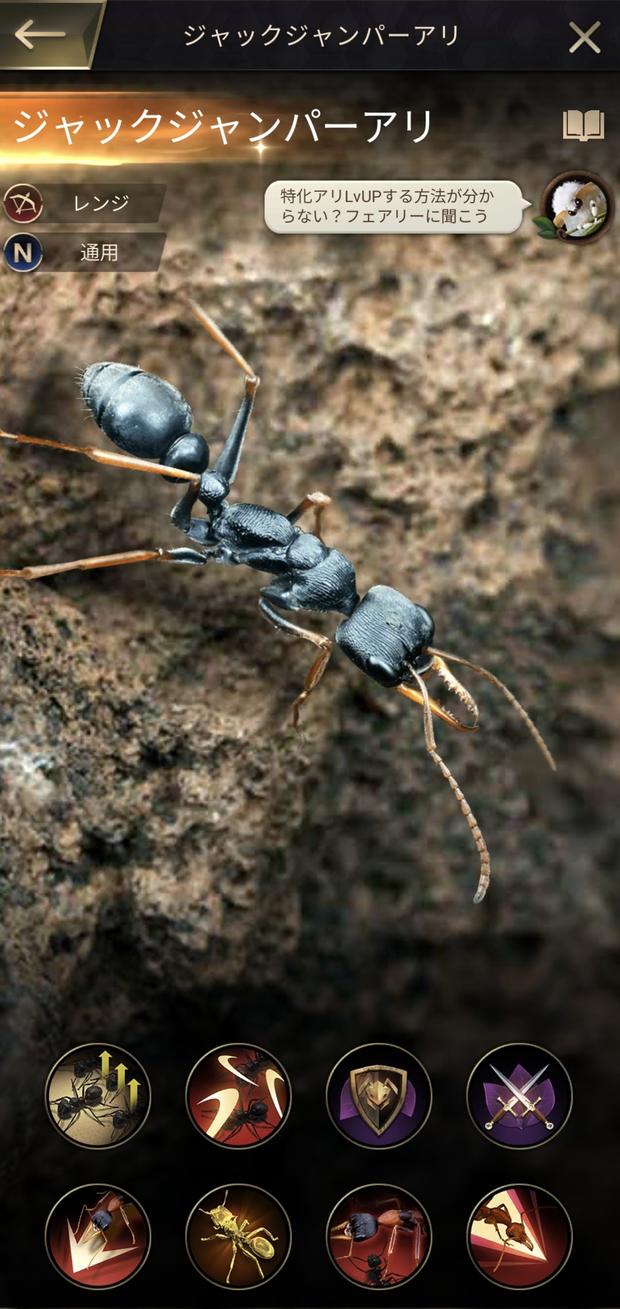 ants_remara007.jpg